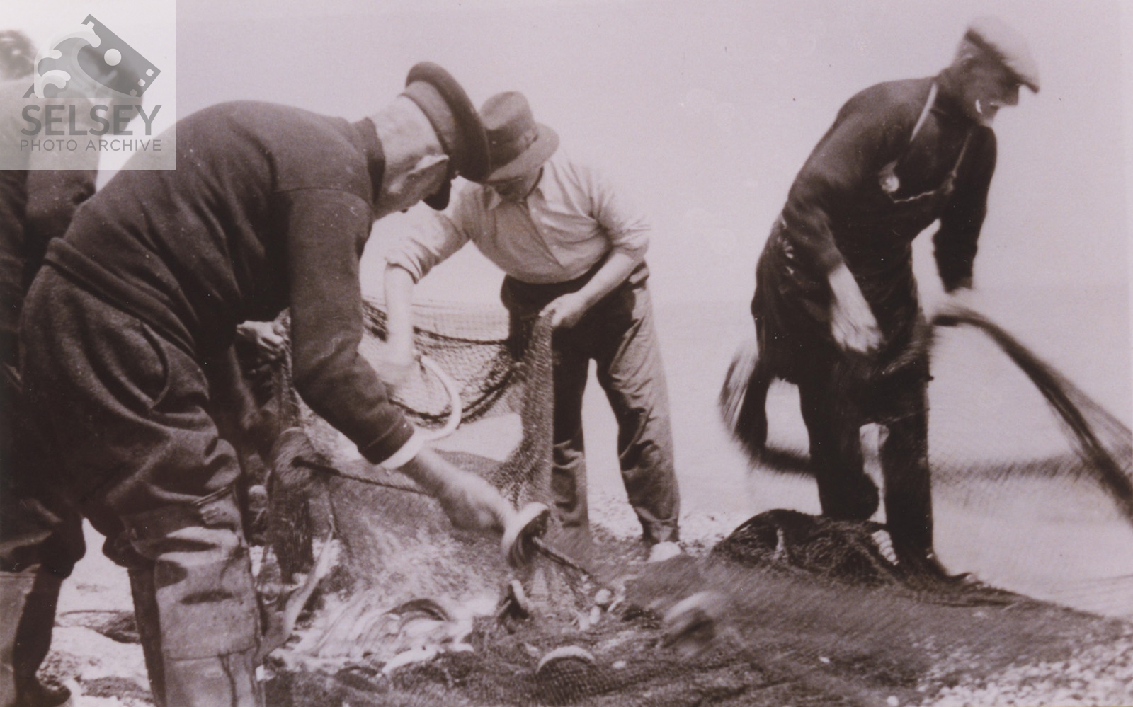 Fishermen removing their catch from nets - Selsey Photo Archive